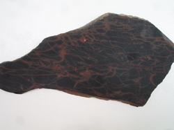 A slab of red Mookite Jasper rough.