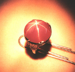 Photo of the gem dealer holding the large star sapphire.
