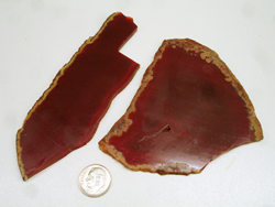 Slabs of rough Carnelian