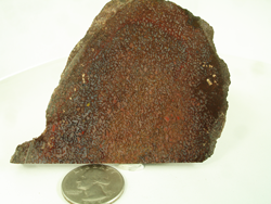 Picture of dinosaur bone rough material.