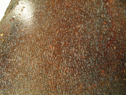 Picture of dinosaur bone rough material.