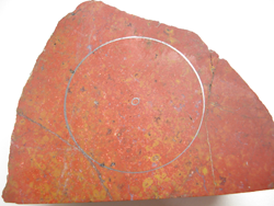 Picture of dinosaur bone rough material.