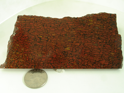 Picture of dinosaur bone rough material.